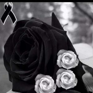 Meet your Posher, Juvenal